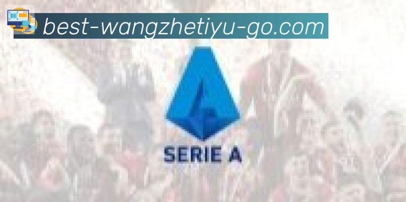 王者体育直播合作伙伴
